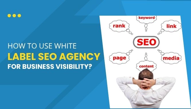 How to Use White Label SEO Agency for Business Visibility